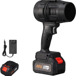 Jet Blower with Charger & 2 x Battery